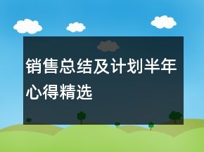 銷售總結(jié)及計(jì)劃半年心得精選