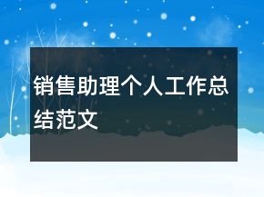銷售助理個(gè)人工作總結(jié)范文