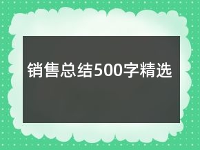 銷售總結(jié)500字精選