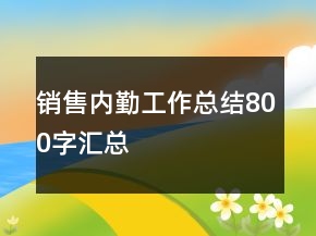 銷售內(nèi)勤工作總結(jié)800字匯總