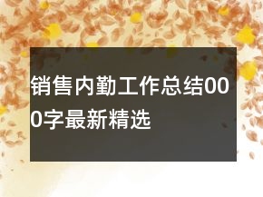 銷售內(nèi)勤工作總結(jié)000字最新精選