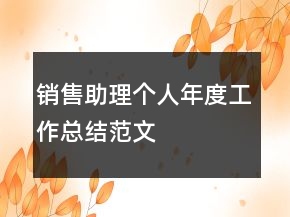 銷售助理個人年度工作總結(jié)范文