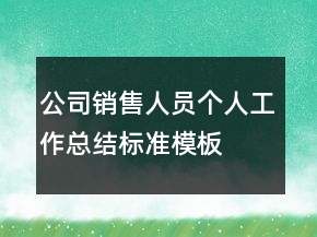 公司銷(xiāo)售人員個(gè)人工作總結(jié)標(biāo)準(zhǔn)模板