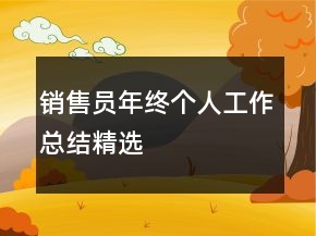 銷售員年終個人工作總結(jié)精選