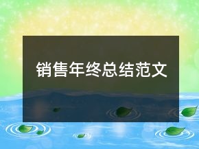 銷(xiāo)售年終總結(jié)范文