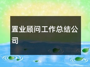 置業(yè)顧問工作總結(jié)公司