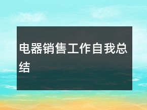 電器銷售工作自我總結(jié)