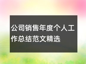 公司銷售年度個人工作總結(jié)范文精選