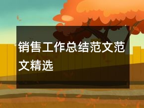 銷(xiāo)售工作總結(jié)范文范文精選