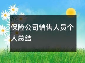 保險(xiǎn)公司銷售人員個(gè)人總結(jié)