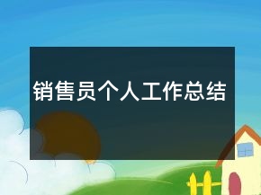 銷售員個(gè)人工作總結(jié)