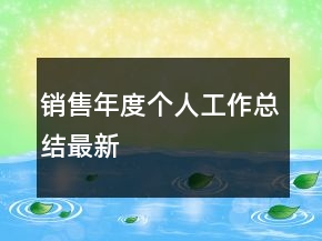 銷售年度個(gè)人工作總結(jié)最新