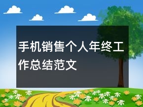 手機(jī)銷售個人年終工作總結(jié)范文
