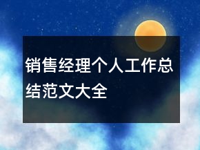 銷售經(jīng)理個(gè)人工作總結(jié)范文大全