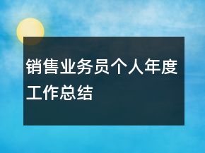 銷售業(yè)務(wù)員個(gè)人年度工作總結(jié)
