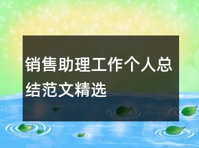 銷售助理工作個人總結(jié)范文精選