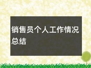 銷售員個(gè)人工作情況總結(jié)