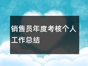 銷售員年度考核個(gè)人工作總結(jié)