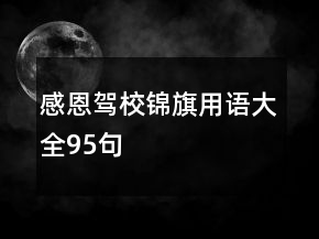 感恩駕校錦旗用語大全95句