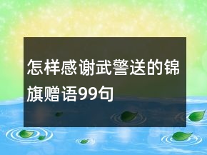 怎樣感謝武警送的錦旗贈(zèng)語(yǔ)99句