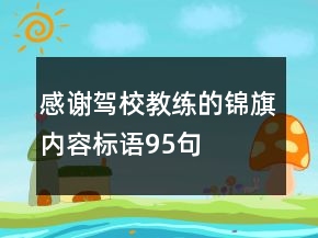 感謝駕校教練的錦旗內(nèi)容標(biāo)語(yǔ)95句
