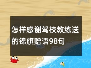 怎樣感謝駕校教練送的錦旗贈語98句