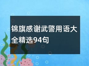錦旗感謝武警用語大全精選94句