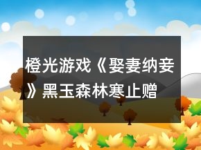橙光游戲《娶妻納妾》（黑玉森林）寒止贈(zèng)珠－對(duì)品行的正義的考核攻略
