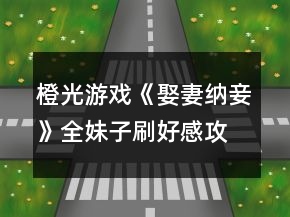 橙光游戲《娶妻納妾》全妹子刷好感攻略