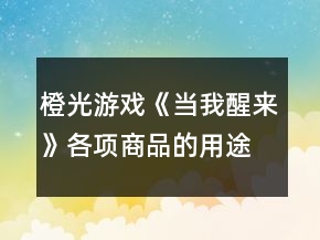 橙光游戲《當(dāng)我醒來》各項商品的用途攻略