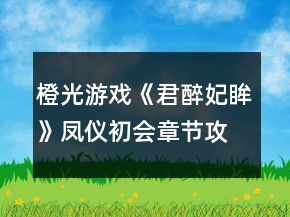 橙光游戲《君醉妃眸》鳳儀初會章節(jié)攻略