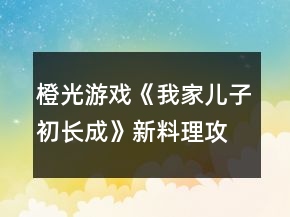 橙光游戲《我家兒子初長(zhǎng)成》新料理攻略