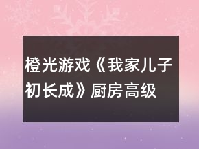 橙光游戲《我家兒子初長(zhǎng)成》廚房高級(jí)餐飲攻略