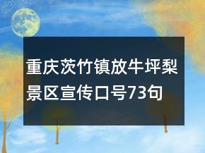 重慶茨竹鎮(zhèn)放牛坪梨景區(qū)宣傳口號(hào)73句