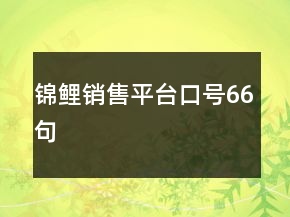 錦鯉銷售平臺口號66句