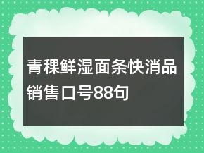 青稞鮮濕面條快消品銷售口號88句