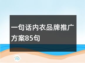一句話內(nèi)衣品牌推廣方案85句