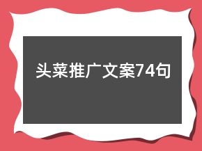 頭菜推廣文案74句
