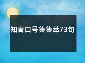 知青口號集集萃73句