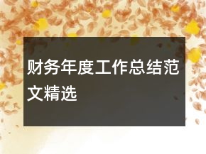 財務年度工作總結范文精選
