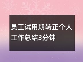 員工試用期轉(zhuǎn)正個人工作總結(jié)3分鐘