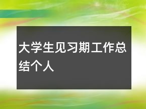 大學(xué)生見習(xí)期工作總結(jié)個人