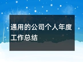 通用的公司個人年度工作總結(jié)