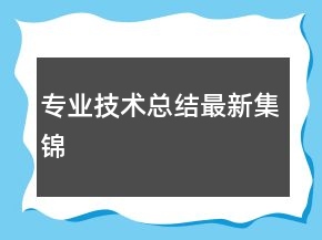 專(zhuān)業(yè)技術(shù)總結(jié)最新集錦