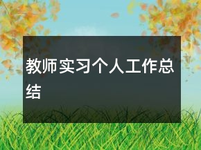 教師實(shí)習(xí)個(gè)人工作總結(jié)