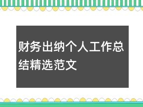 財務出納個人工作總結(jié)精選范文