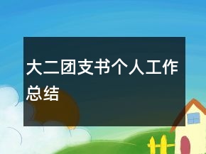 大二團支書個人工作總結(jié)