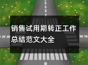 銷售試用期轉(zhuǎn)正工作總結(jié)范文大全