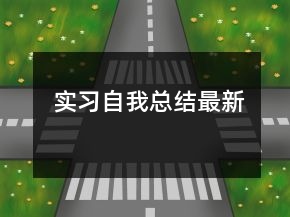 實(shí)習(xí)自我總結(jié)最新