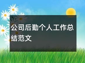 公司后勤個(gè)人工作總結(jié)范文